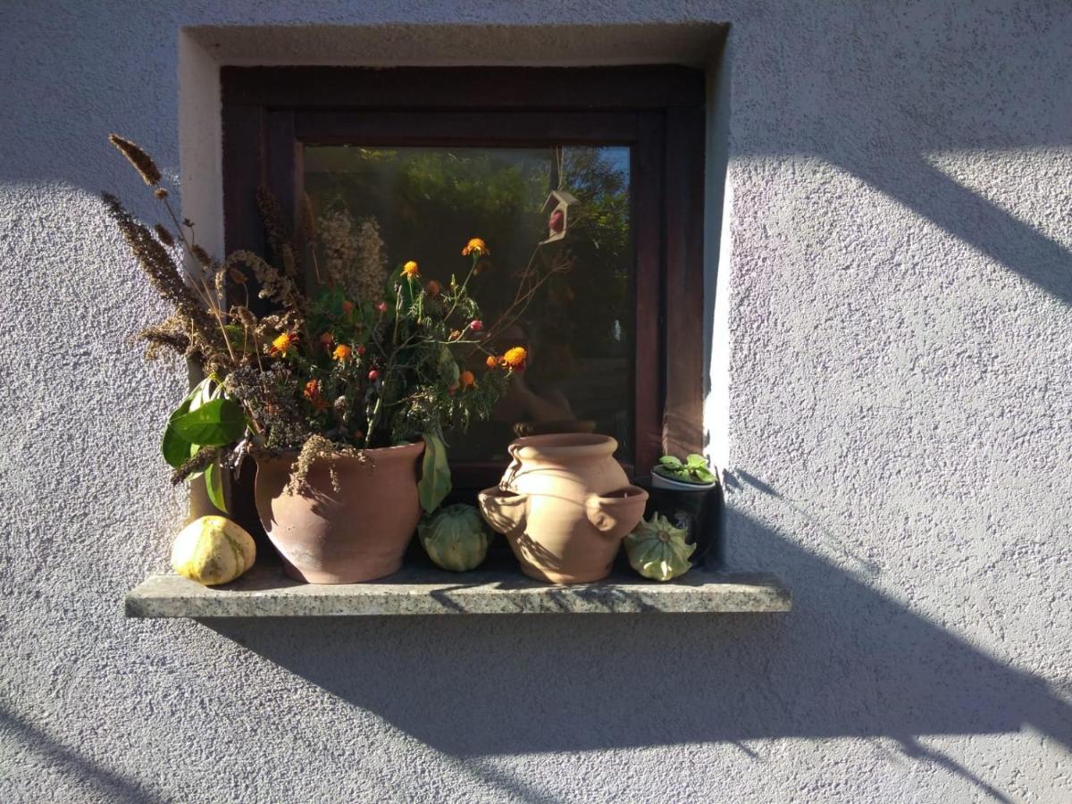Ferienhaus Badetz Exterior foto